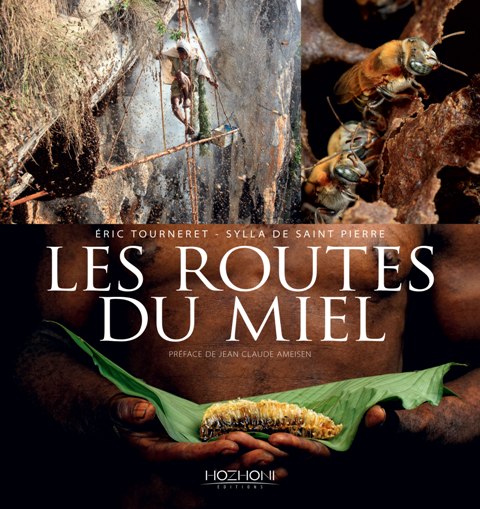 Couv-Routes-du-mieljpg